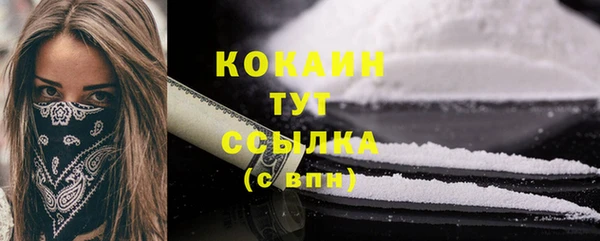 крисы Майский