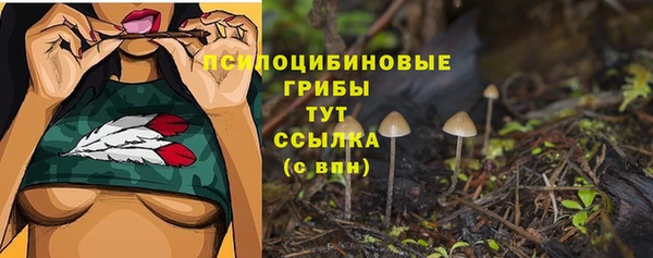 jwh Магас