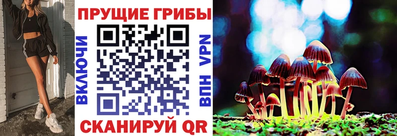 Псилоцибиновые грибы Psilocybe даркнет сайт Оленегорск